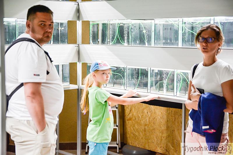 Miłośnicy gupików spotkali się w ZOO [ZDJĘCIA]
