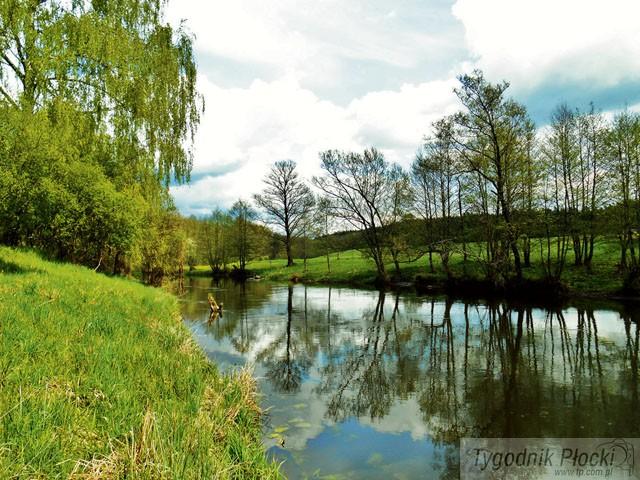 Sierpniowe brzany (1)