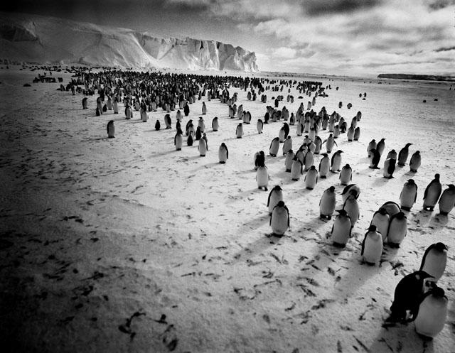 Fotografie Tomasza Gudzowatego 