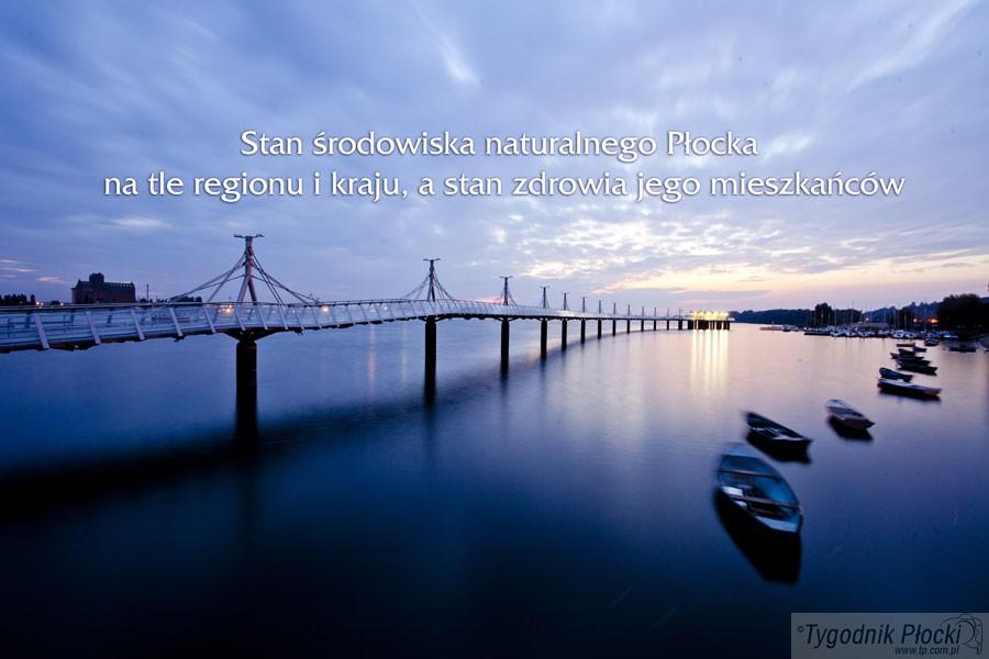 Stan środowiska naturalnego Płocka...