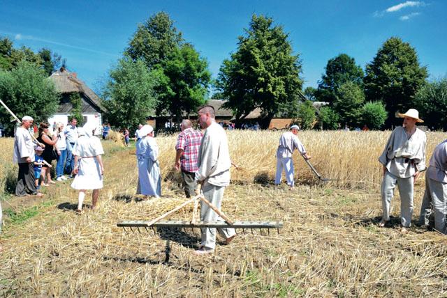 Wielkie cięcie w skansenie