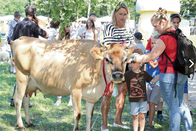 Wieś sprawdziła się w zoo 
