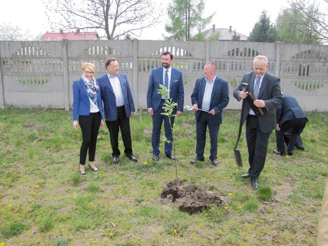 Przybyło nowych drzew