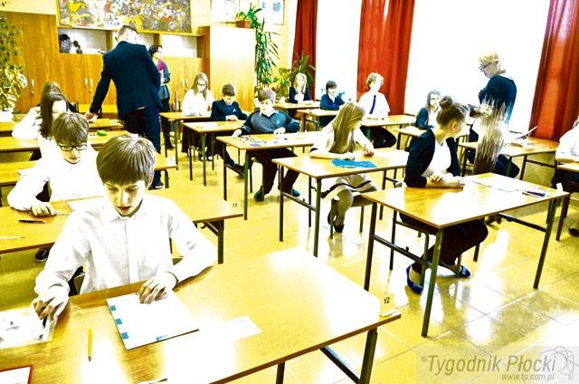 Procenty i inteligencja słoni