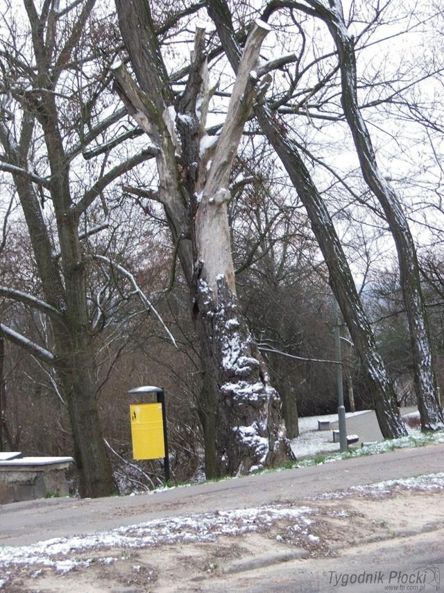 Gdzie jest kapliczka?