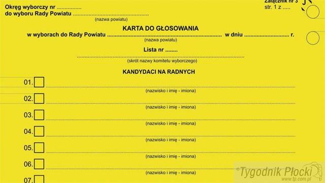 Kolorowe głosowanie