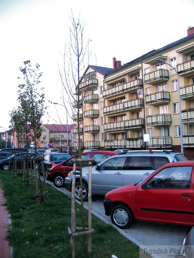 Drzewa do wymiany