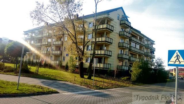 Komu przeszkadzało drzewo?