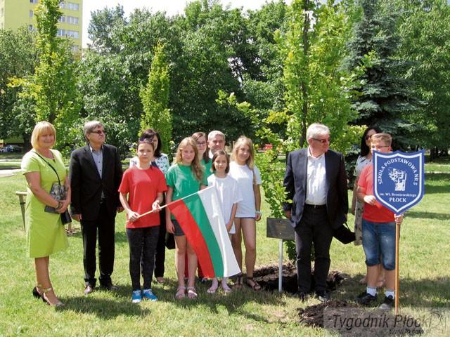 Szansa na współpracę 