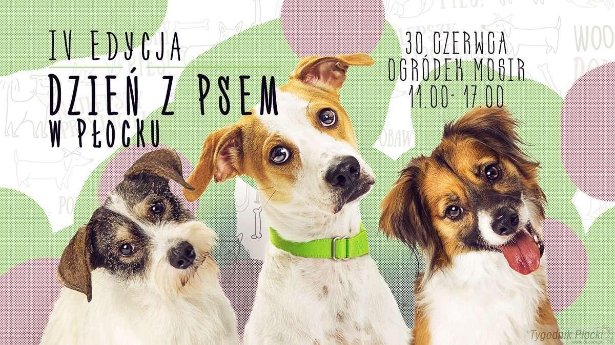 Niedziela z psem