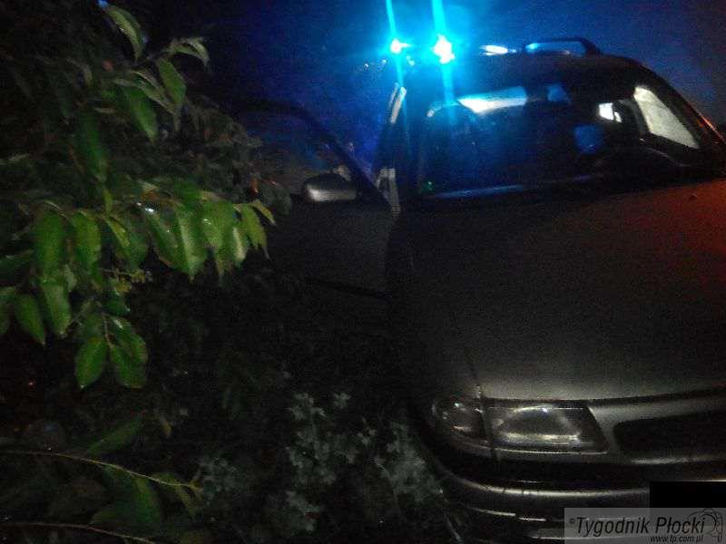 Pijany kierowca zakończył jazdę w rowie