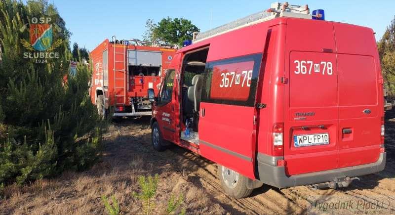 Niebezpieczny pożar lasu – ogień przemieszczał się w kierunku budynków