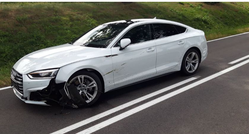 Sarna wyskoczyła przed audi 