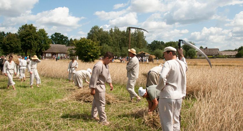 Na żniwach w skansenie turyści pobili rekord