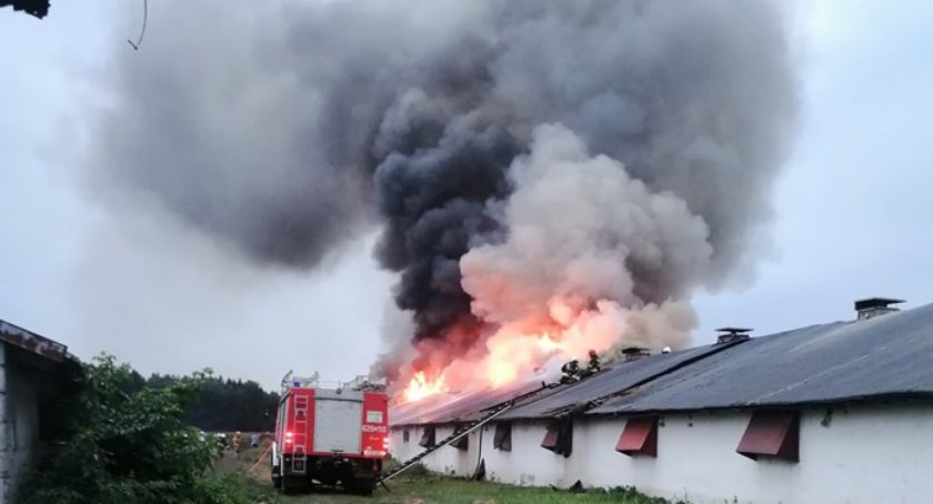 Zapalił się drugi kurnik. Złe wieści z Sierpca [AKTUALIZACJA]
