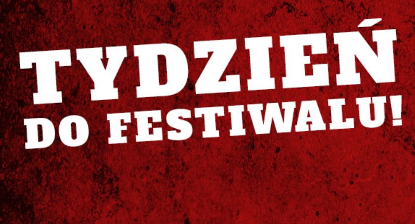 Summer Fall Festival. Już wszystko wiadomo  