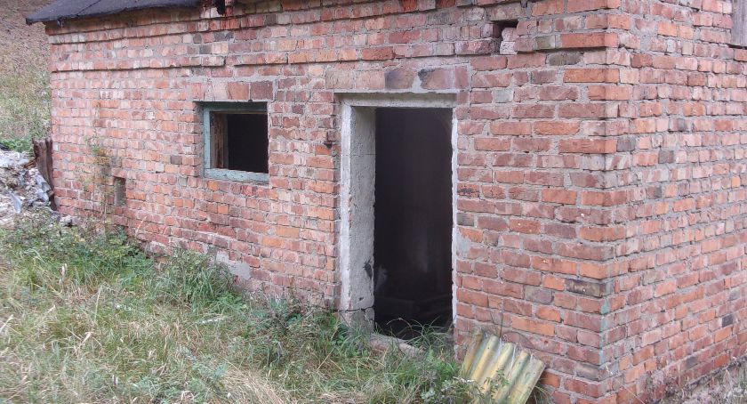 Pies pozostawiony na pewną śmierć. Pomoc przyszła za późno 