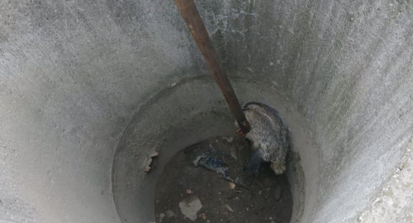 Więzień studni. Wyjątkowa akcja ratownicza