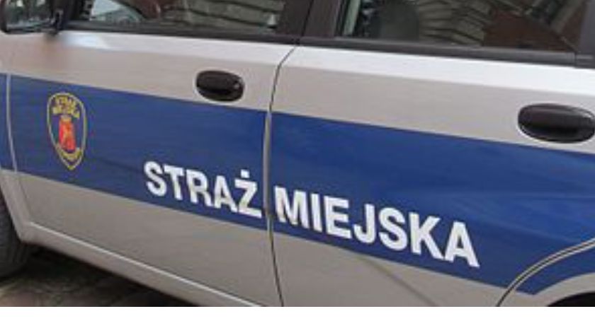 Pijany staranował sygnalizator. Mogło być gorzej…