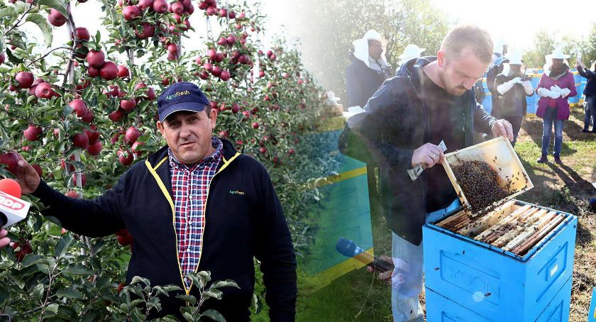 Śladami jabłek i pszczół