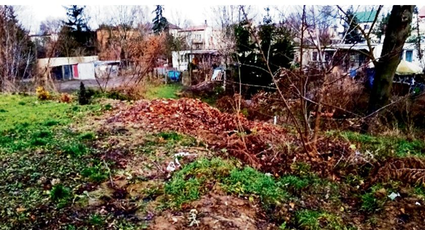 Kto powinien posprzątać na cmentarzu przy Norbertańskiej?