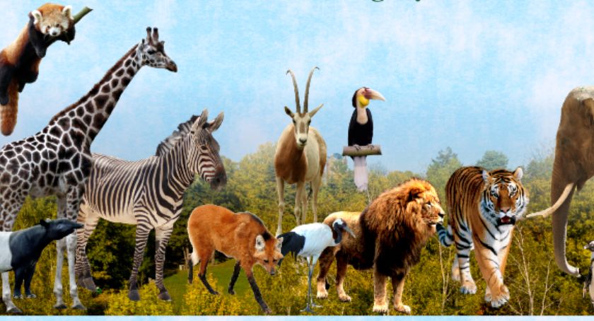 Płockie ZOO zaprasza na Dzień Misji