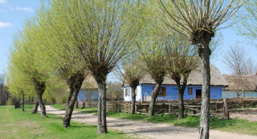 Rekonstrukcja zabytkowych ornatów w sierpeckim skansenie