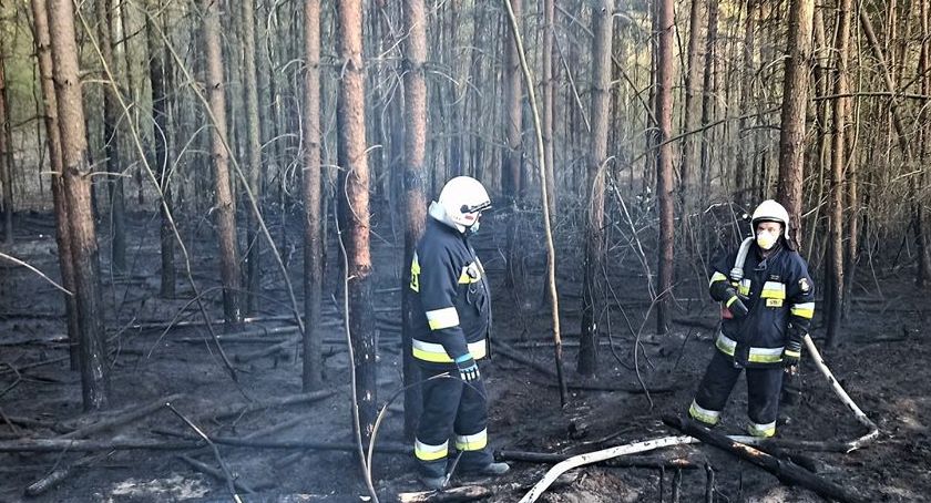 5 pożarów w 4 dni… Każdego dnia w okolicach lasów słychać syreny