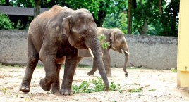 Feriujemy w płockim ZOO i nie tylko!