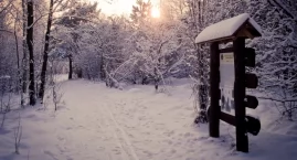 Na nartach, rowerach i pieszo Kampinos dla każdego