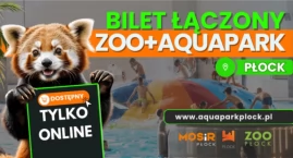 Jeden bilet – dwa miejsca. Odwiedź płockie atrakcje.&hellip;