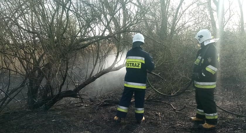 Najczęściej paliło się w Drążgowie, Białkach Dolnych i Żabiance
