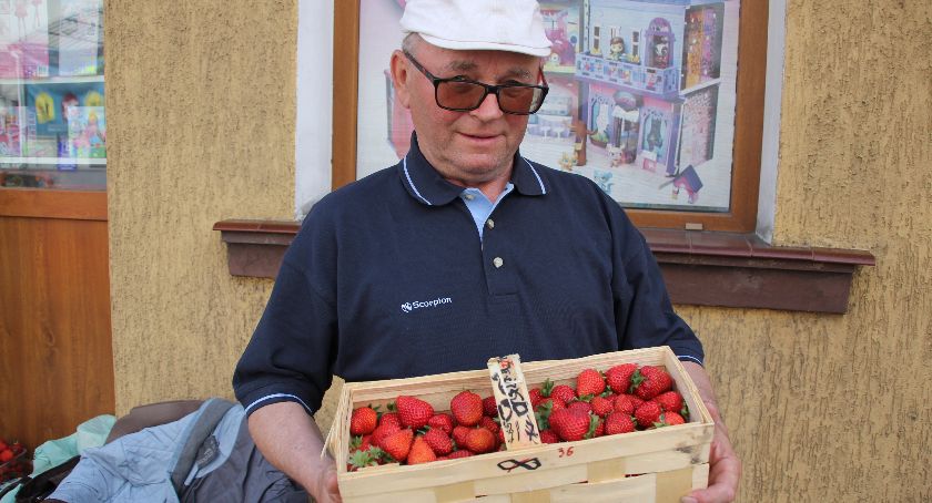 Brakuje rąk do pracy. Nie ma kto zbierać truskawek
