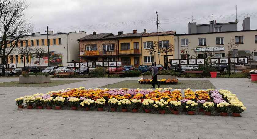 Biuro powiatowe ARiMR w Rykach przygotowuje się do wypłaty rekompensaty za niesprzedane chryzantemy