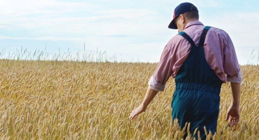 Nawet 250 tys. zł na założenie biznesu na wsi. Nabór wniosków przedłużony