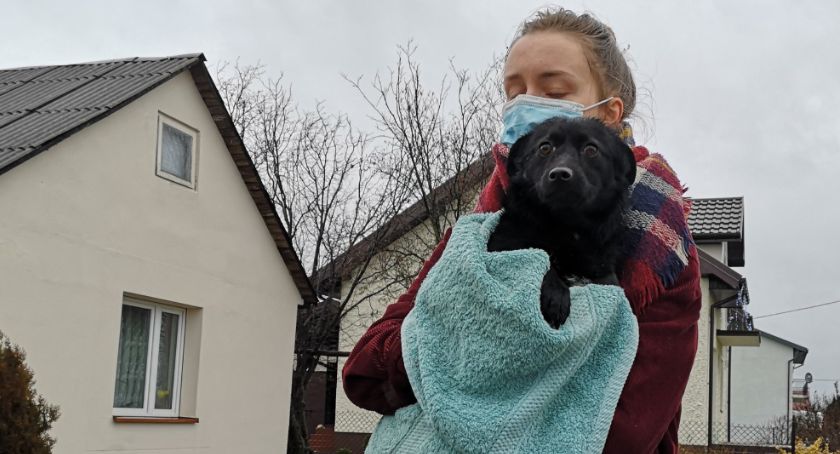 Powiesił psa na belce w komórce. Sprawą zajmie się sąd (Uwaga drastyczne zdjęcia)
