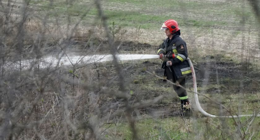 Strażacy ugasili pożar przy torowisku