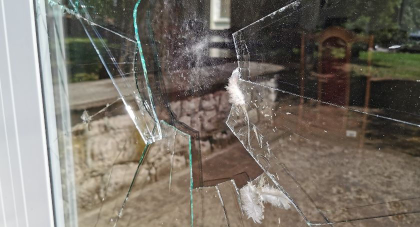 RYKI Rozbite drzwi do Urzędu Miejskiego
