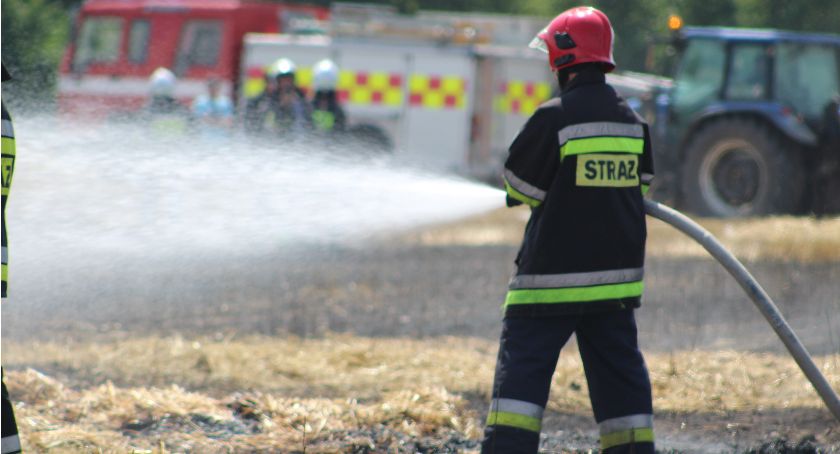 Pożary, bomba i poszukiwanie bydła. Tak minął tydzień u strażaków