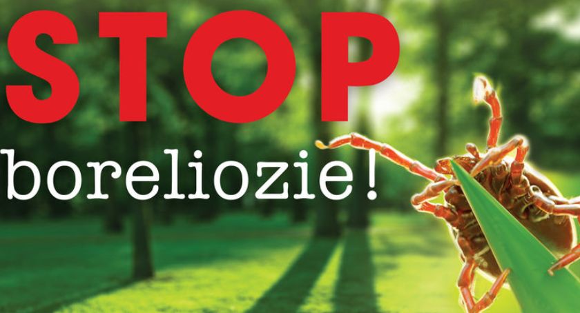 Weź udział w projekcie i zbadaj się w kierunku boreliozy