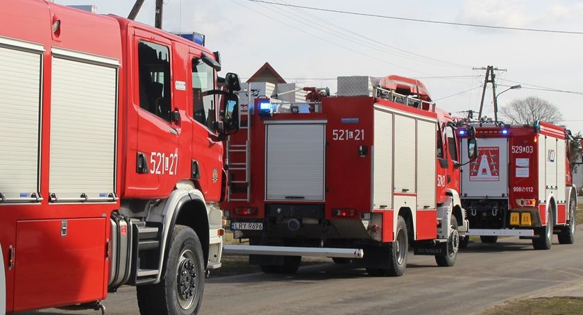 Raport strażacki: Tydzień pod znakiem powalonych drzew