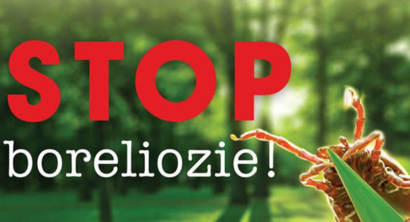 Sprawdź, czy nie chorujesz na boleriozę 