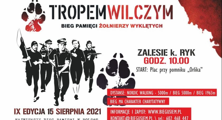 Tropem Wilczym w Zalesiu