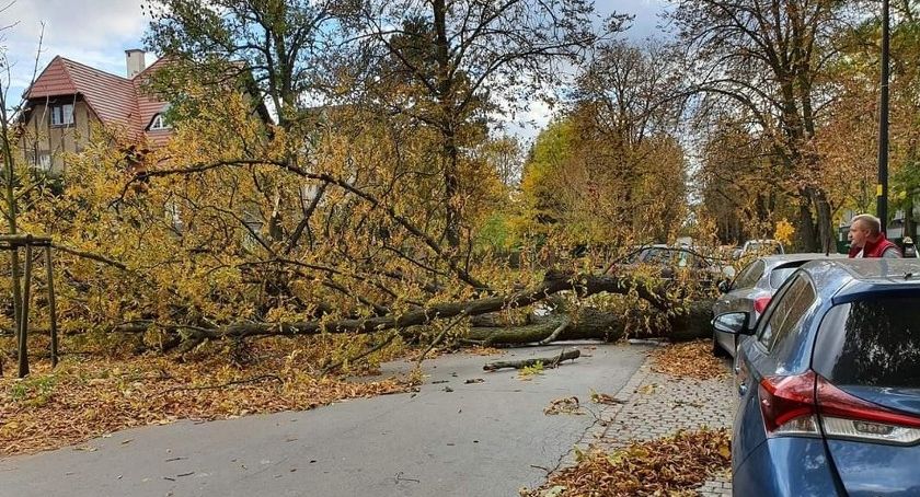 Wichura wyrywa drzewa, zrywa dachy. Sprawdź, jak się zachować