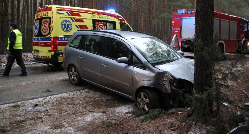 Droga między Grabowem a Okrzeją zablokowana. Opel zatrzymał się na drzewie