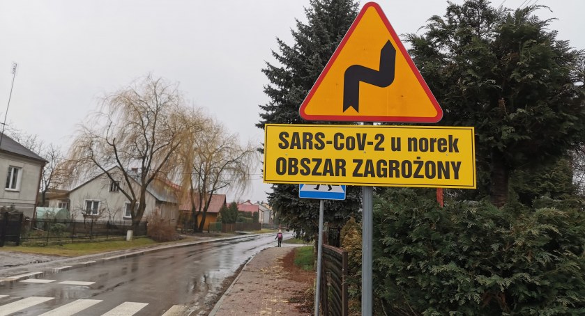 SARS-CoV-2 w fermie norek. 39 miejscowości powiatu ryckiego w obszarze zagrożonym