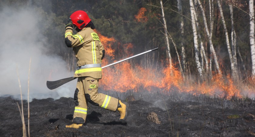 Płoną suche trawy. Straż apeluje o rozwagę a policja przestrzega. Nawet 5 tys. zł kary