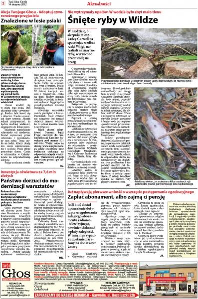 Przegląd wydania nr. 33