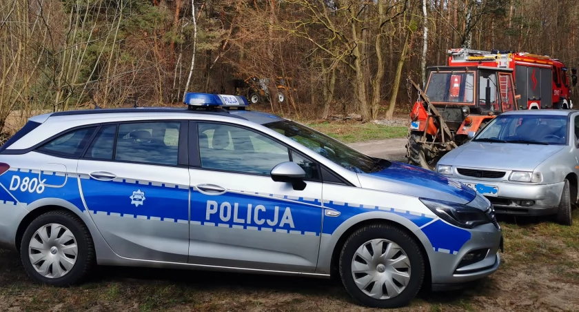 Śmierć przy wycince drzewa. Nie żyje 42-letni mężczyzna