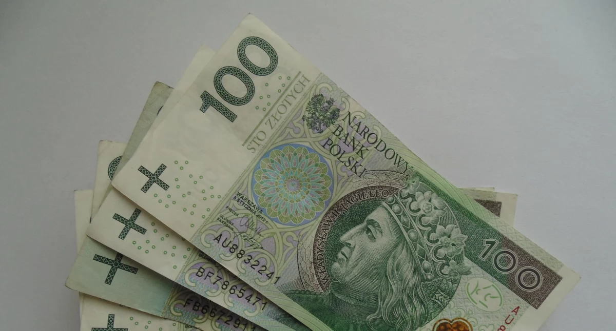 Gmina Nowodwór: Mieszkańcy zdecydują o rozdaniu 420 tysięcy złotych! Co wybiorą?